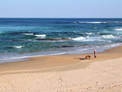 Accommodation Nature's Valley Sea Why beach within walking distance